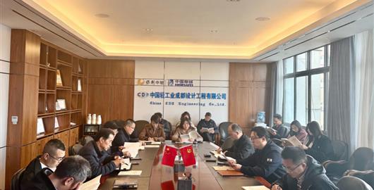 公司黨委部署開展樹立和踐行正確政績觀學(xué)習(xí)教育工作